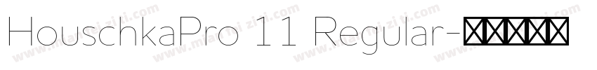 HouschkaPro 11 Regular字体转换